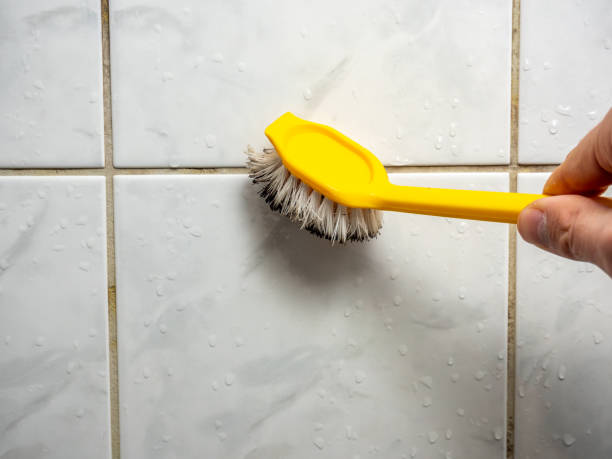 Best Black Mold Remediation in Ellijay, GA