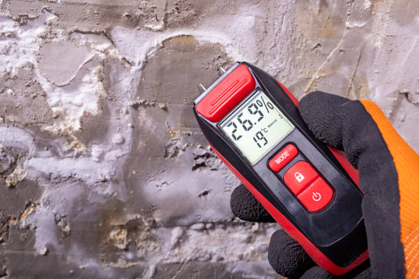 Ellijay, GA Mold Remediation Company